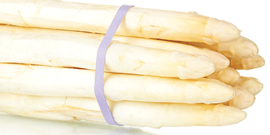 ASPERGES GAMME PROFESSIONNELLE