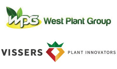 Plant WB