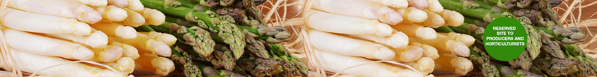 asperges-homeGB