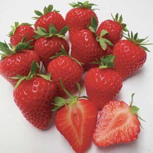 Harmony fraises