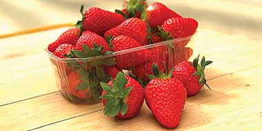 marly fraise home